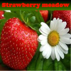 Strawberry Meadow