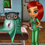 play Pet Vet Lisa