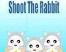 play Shoot The Rabbit