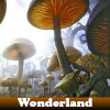 play Wonderland 5 Differences