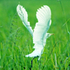 play Dream Puzzle-6