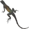 play Az Lizard Jigsaw