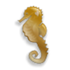 play Seahorse Jigsaw