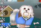 play Havanese Dog Dressup