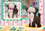 play Doggy Salon