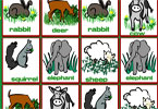 play Herbivores Matching