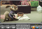 play Hop Find The Alphabets