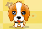 play My Cute Pets2