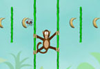 play Jungle Spider Monkey