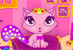 play Fluffy Starz Dressup