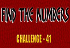 play Find The Numbers - 41
