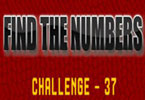 play Find The Numbers Challenge 37