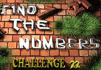 play Find The Numbers - 22