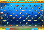 play Couple Fishes