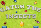 play Catch The Insects