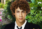 play Nick Jonas Puzzle Series