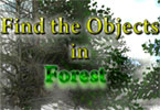 play Find The Objects In Forest
