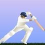 play Cricket