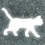 play Time4Morecat