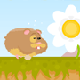 Run Run Hamster