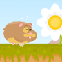 play Run Run Hamster