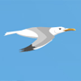 play Seagull Flight