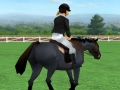 Show Jumping