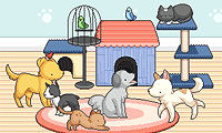 play Pet Daycare Decoration