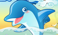 play Dolphin Pop