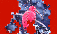 play Puzzle Book