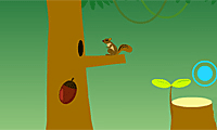 play Miraculous Forest