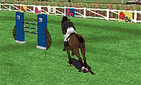 play Horse Race