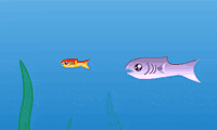 play Fishy