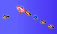 play Fish School