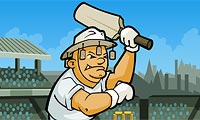 play Cricket World Cup 2011