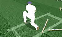 play Cricket Challenge