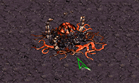 play Starcraft 5