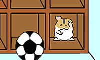 play Look For Hamsters