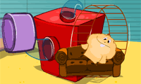 play Pet Home Designer: Hamster Paradise