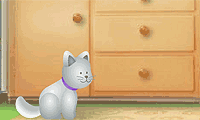 play Net Pet