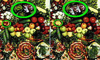 play Photo Frenzy