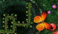 play Root Your Way