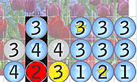 play Dropsum