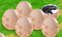 play Dinosaur Eggs