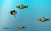 play Fish Adventure