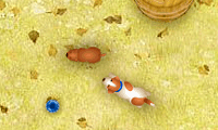 play Pop Top Pups