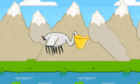 play Pelican
