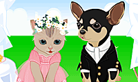 Pet Wedding Dress Up