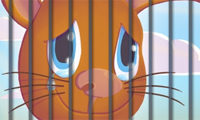 Animal Prison Break