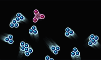 play Atomz